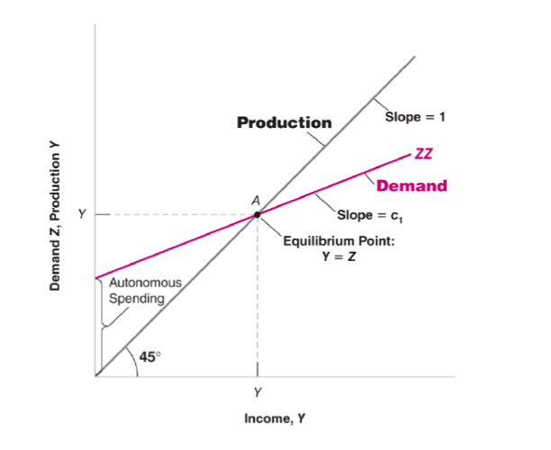 <p>In a closed economy X = IM =0, so Z ≡ C+ I +G</p><p>Equilibrium in the goods market requires Y =Z</p><p>Z = Y = c<sub>0 </sub>+ c<sub>1</sub>(Y −T)+¯I+G</p><p>In equilibrium, production (Y) is equal to demand, which in turn depends on income (Y), which is itself equal to production</p>
