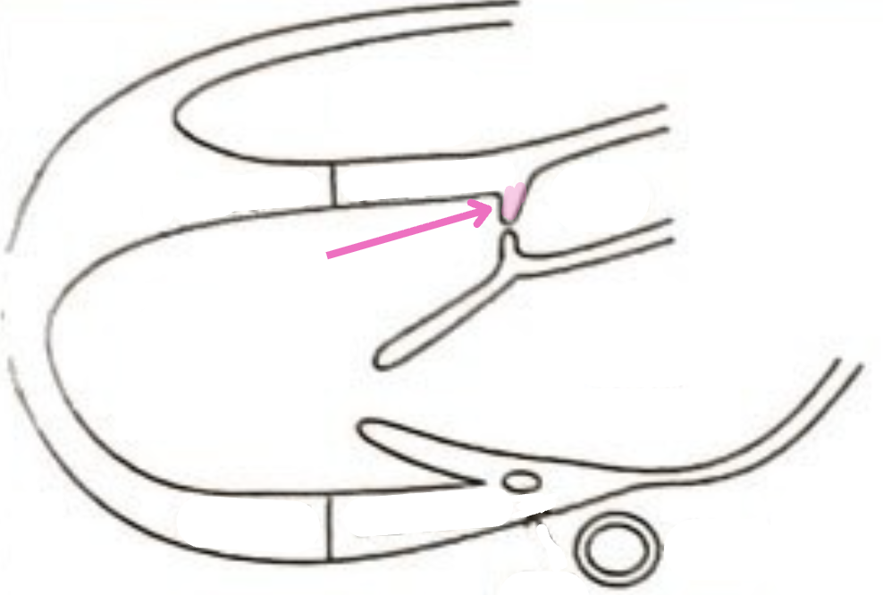 <p>What is this structure?</p>