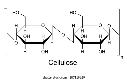 <p>Large carbohydrate molecules made of many monosaccharides linked together (examples: starch, glycogen, cellulose, chitin)</p>