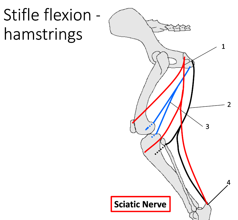 <p>1</p>