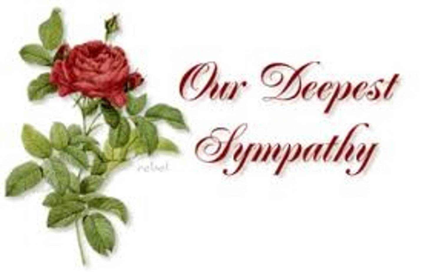 <p>(noun) an expression of sympathy</p><p>Synonyms: commiseration, solace, sympathy</p>
