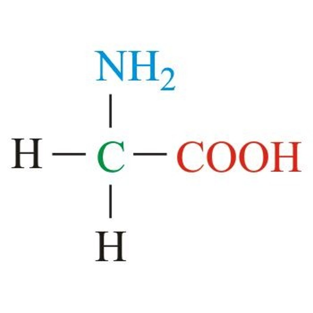 <p>An amino acid with a non polar R group</p>