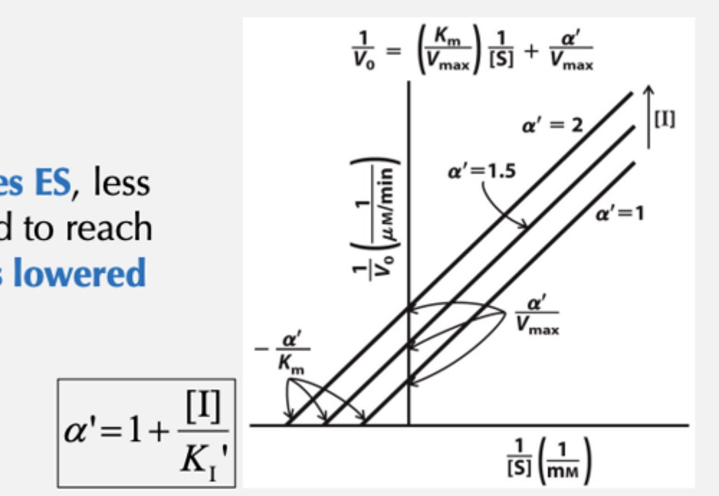 <p>• Vmax is lowered</p><p>• Because I stabilizes ES, less substrate is needed to reach saturation -> KM is lowered</p><p>*See parallel it must be competitive</p>