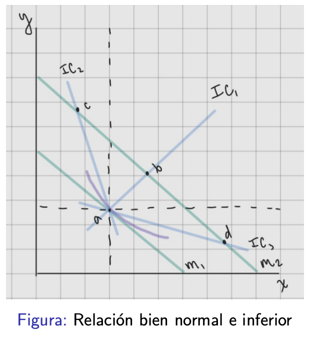 <p>Expresa que en una canasta de dos bienes, si uno es inferior, el otro debe ser normal.</p>