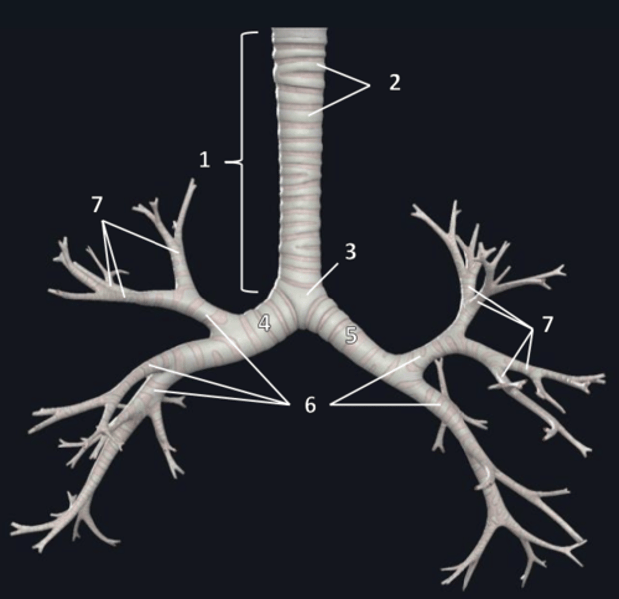 <p>3</p>