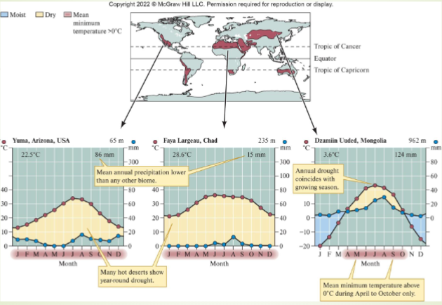 <ul><li><p>major bands at 30<span>°N and 30°S latitude</span></p><ul><li><p>occupy about 20% of earth’s land surface</p></li></ul></li><li><p>water loss usually exceeds precipitation</p></li><li><p>soil usually extremely low in organic matter</p></li><li><p>plant cover ranges from sparse to absent</p></li><li><p>animal abundance low, but biodiversity may be high</p><ul><li><p>strong behavioral adaptations</p></li></ul></li><li><p>humans tend to concentrate in oases and river valleys</p></li><li><p>described as dry/arid</p></li></ul><p></p>