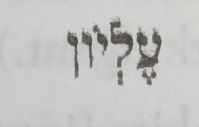 term image