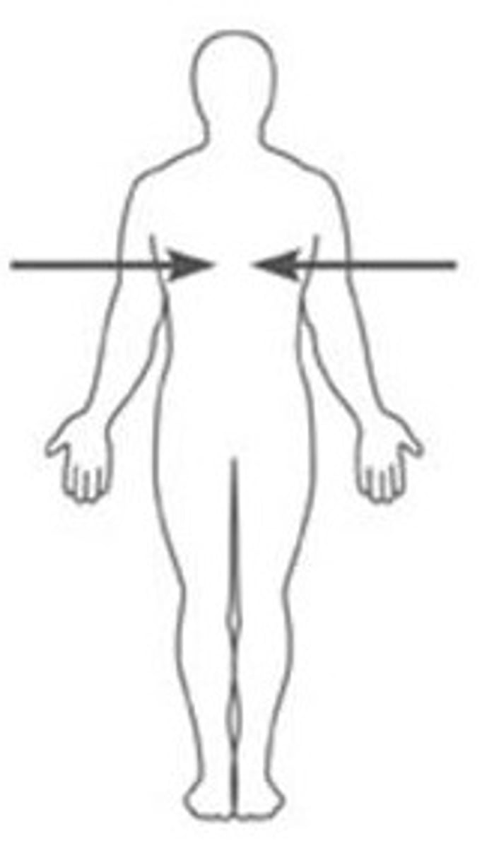 <p>toward the interior of the body</p>