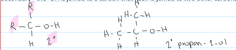 <ul><li><p>the -OH is joined to a carbon that is joined to 2 other carbons</p></li></ul>