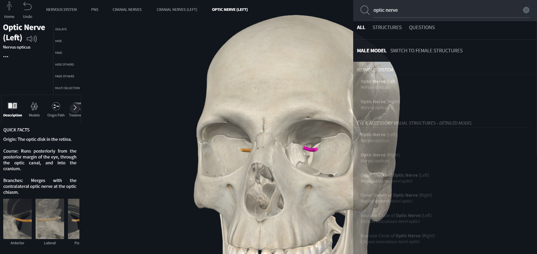 <p>optic nerve (CN II)</p><p>part of central nervous system from which nerve enters or emerges</p><p>general function types of fibers</p><p>general distribution</p>