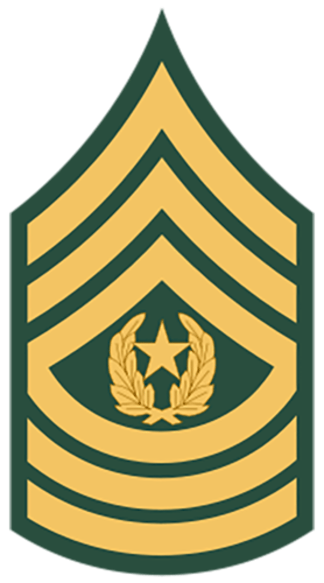 <p>Army: E-9</p>