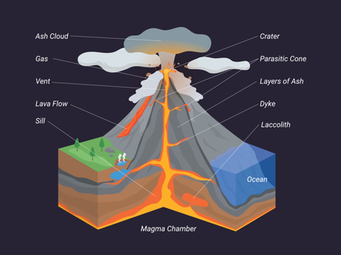<p>Crater, vent, magma chamber, secondary cone (parasitic cone)</p>