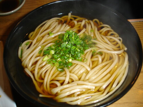 noodles