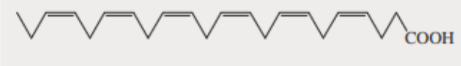 <p> DHA (docosahexaenoic acid)</p>