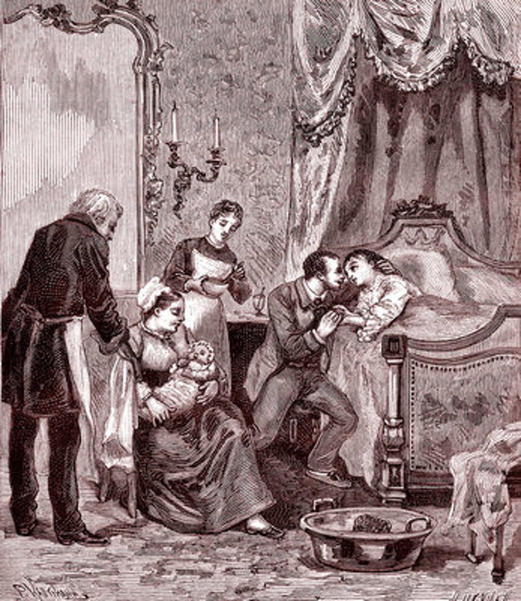 <p>a woman having just given birth</p>