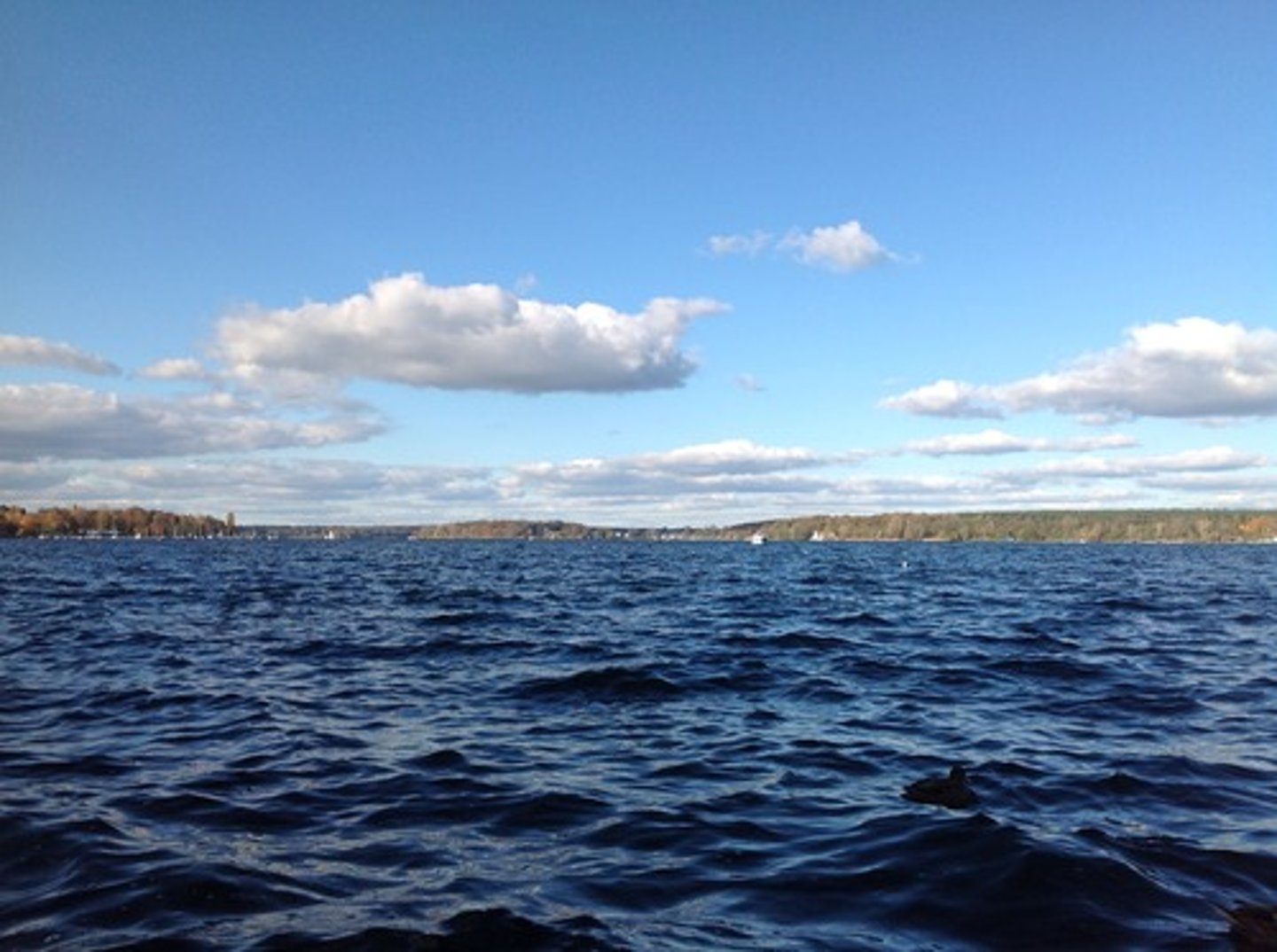 <p>White puffy clouds</p>
