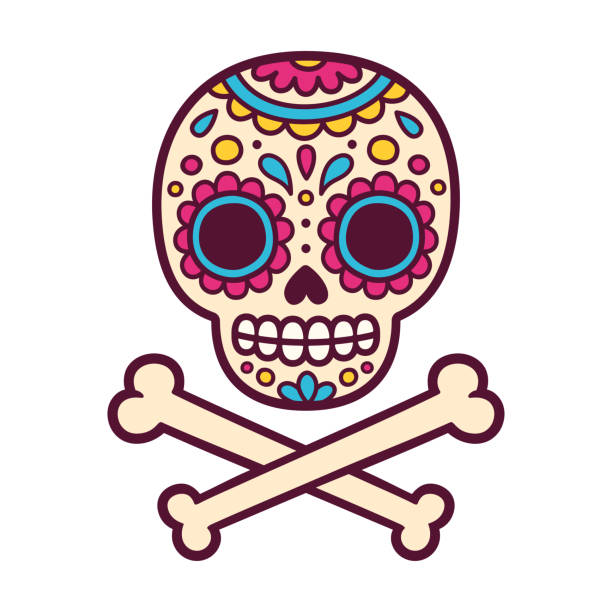 <p>los cráneos</p>