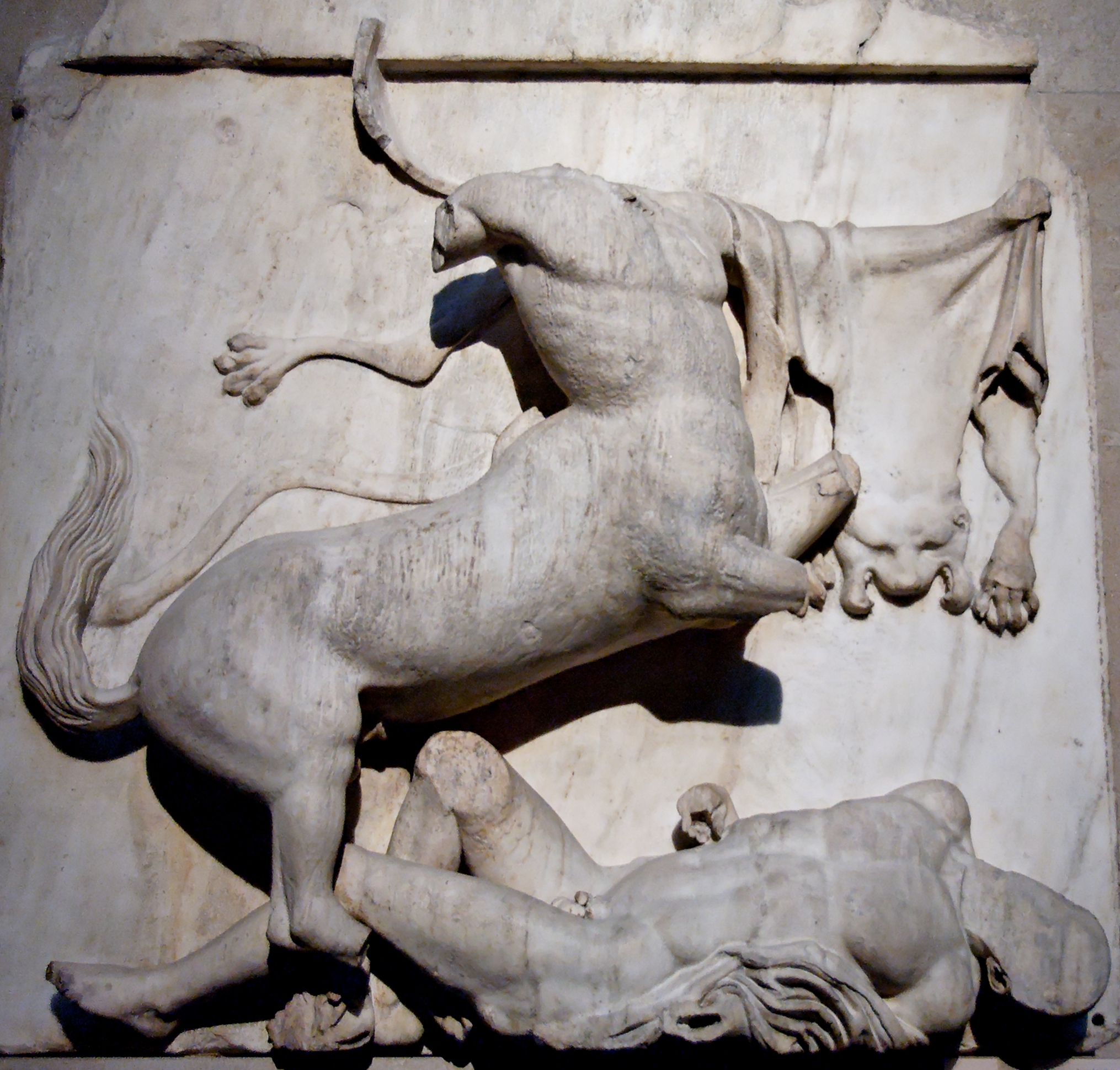 <p>Name of Temple &amp; Metope</p>