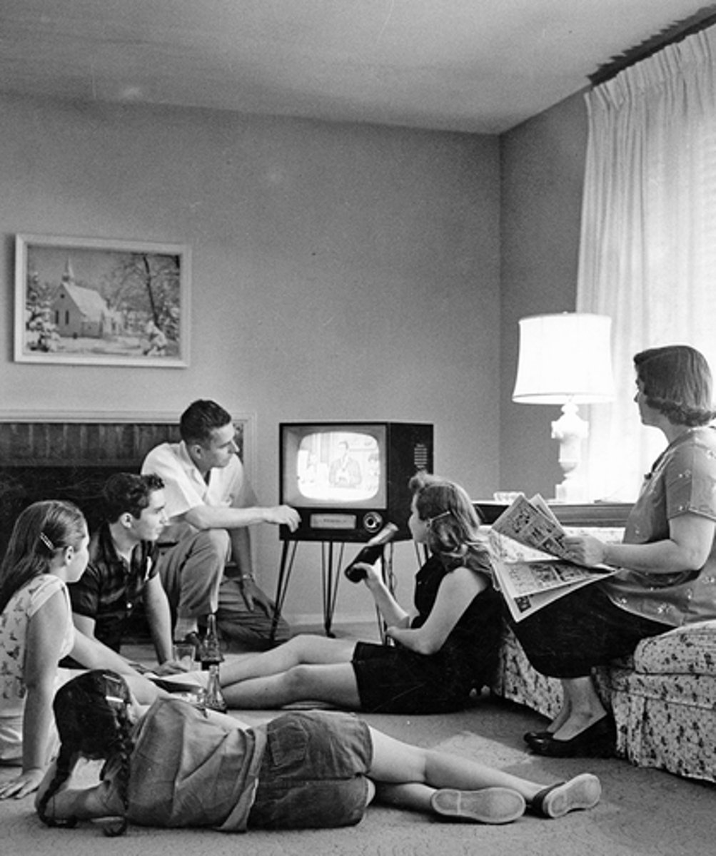 <p>Young people who rejected the homogenization of culture</p>