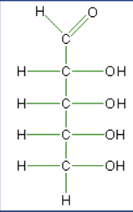 <p>What macromolecule is this?</p>