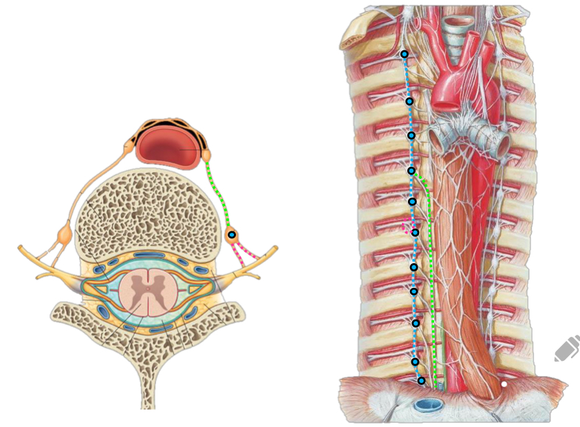 <p>What is the pink line</p>