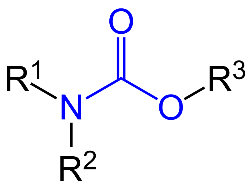 <p>carbamates</p>