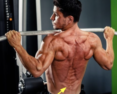 <p>What muscles are being shown here?</p>