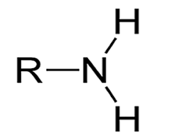 <p>prefix: amine/amino</p><p><mark data-color="red">NH₂</mark> -  nitrogen bonded with two hydrogens</p>