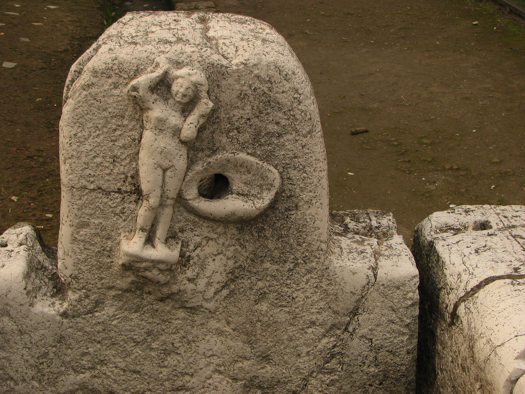 term image