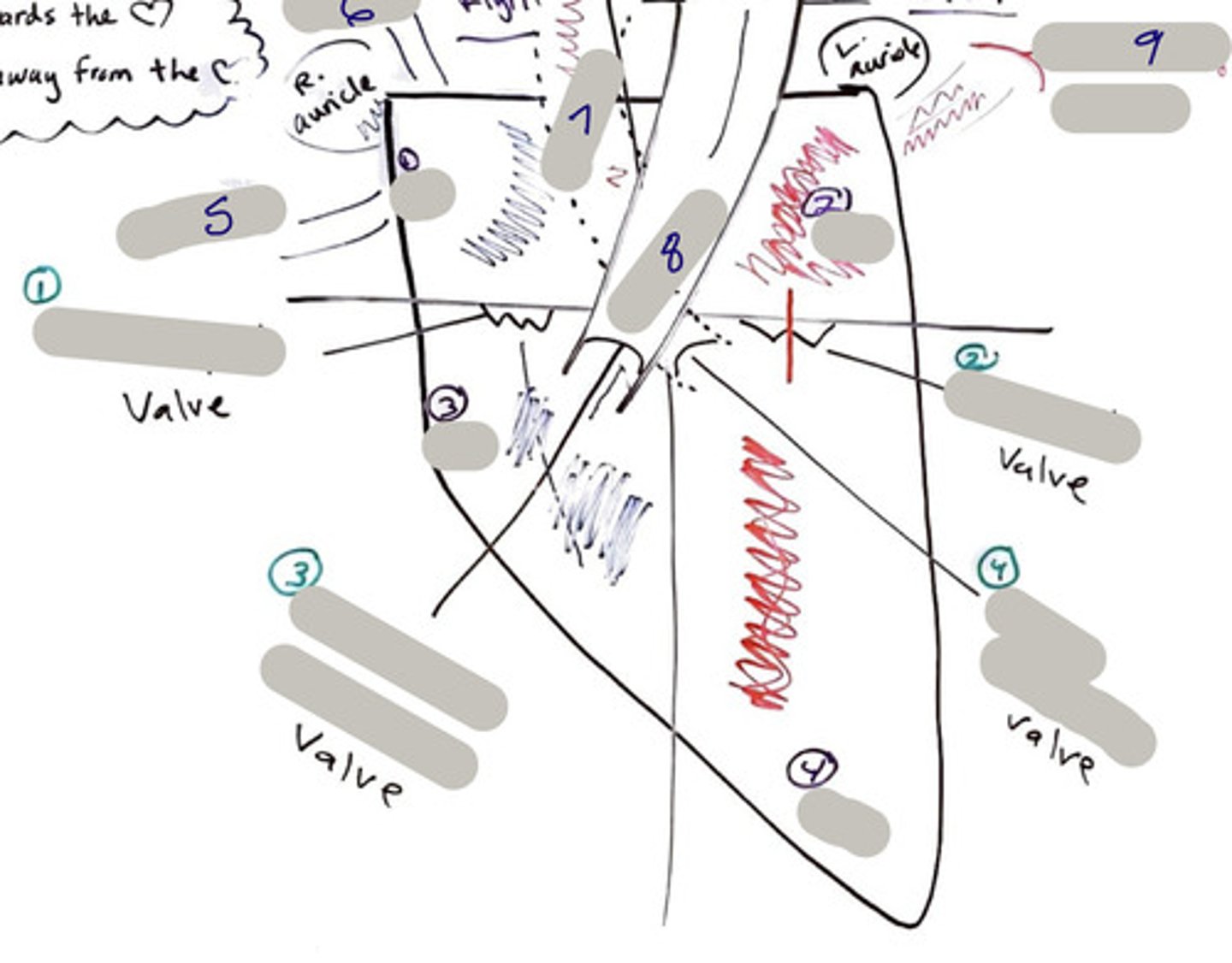 <p>2-chamber</p>