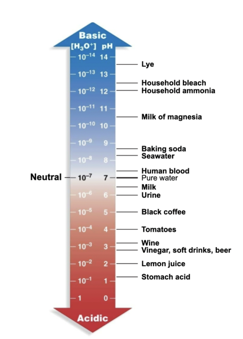 <p><span style="background-color: transparent;"><span>Determined by the concentration of free hydrogen ions (protons) in a solution</span></span></p>