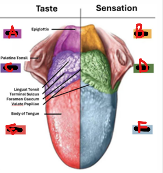<p>Corresponding CNs</p>