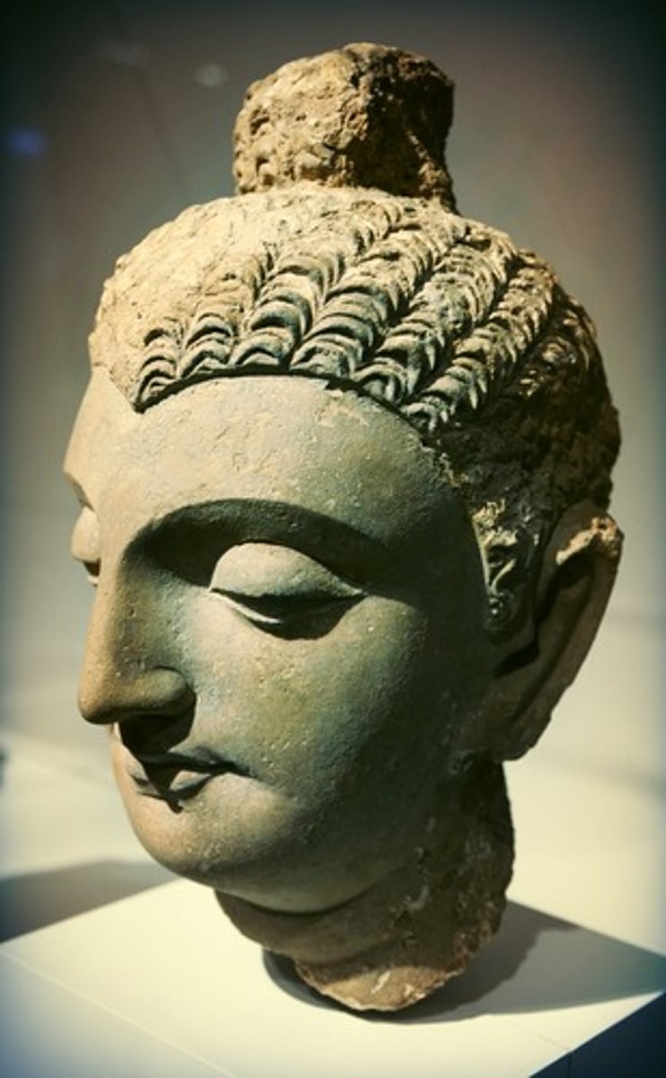 <p>- bump n top of head</p><p>- symbolizes his attainment of enlightenment</p>