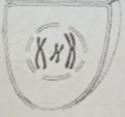 <p>- Cells are N</p><p>- Very similar to mitosis; a spindle apparatus forms</p><p>- The two sister chromatids of each chromosome are no longer identical (due to crossing over in Meiosis I)</p>