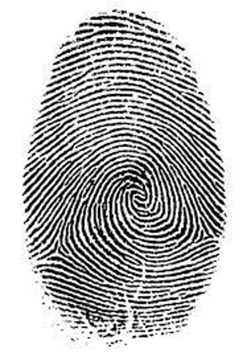 <p>Father of fingerprinting</p>