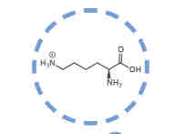 <p>What amino acid is this?</p>