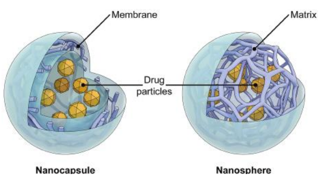 <ol><li><p><strong>Colloidal particles</strong> - size range of ________ nm</p></li><li><p>Nano-capsules =</p></li><li><p>Nano-spheres = </p></li><li><p>Mainly developed for ________ administration </p></li><li><p>advantages (3)</p></li><li><p>commonly used materials (4)</p></li></ol>