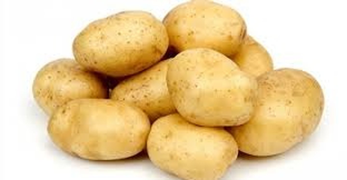 <p>potato</p>