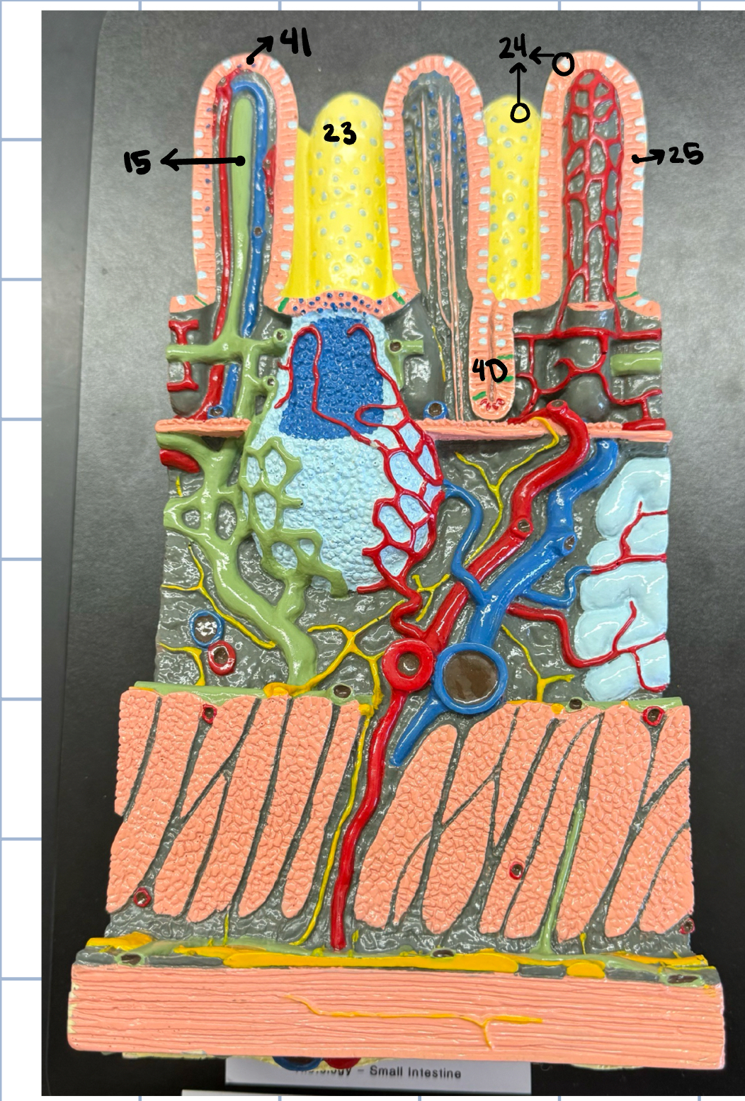 <p>15</p>