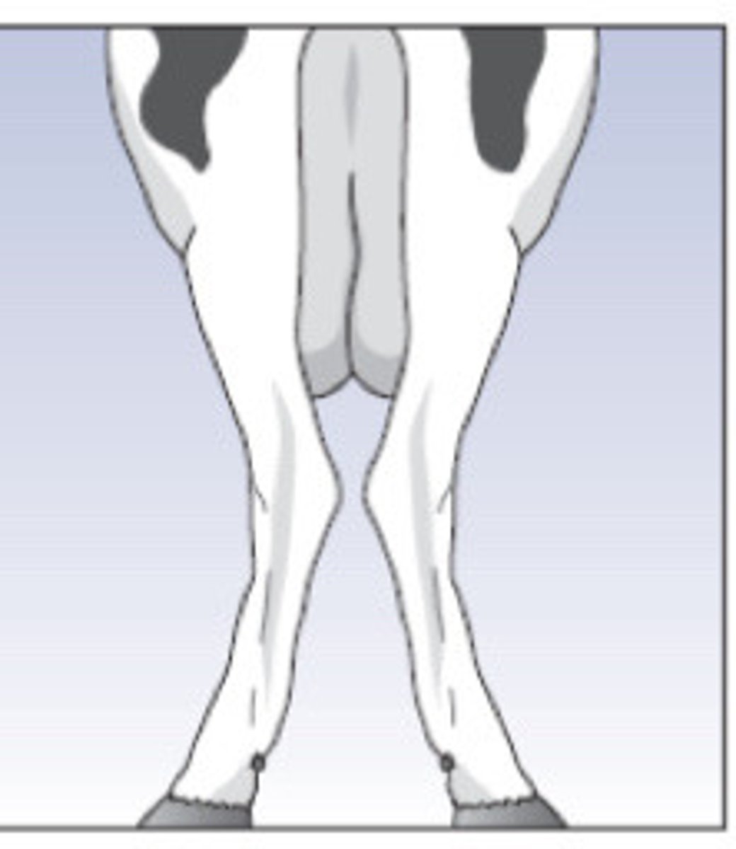 <p>Describe the conformation here</p>