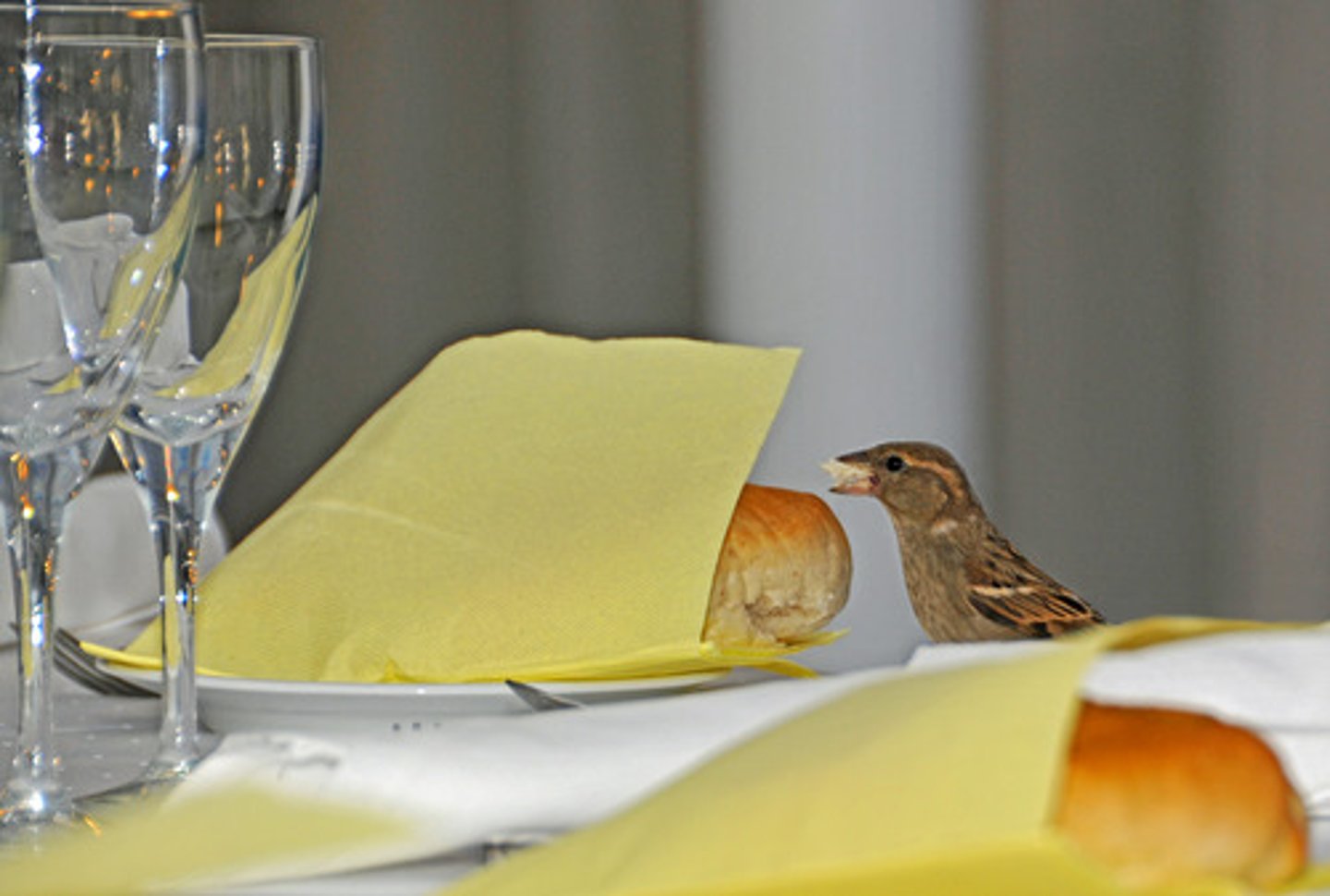 <p>Dinner</p>