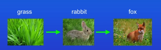 <p>Grass eaten by rabbits, rabbits eaten by foxes.</p><p>The grass is a producer, every food chain starts with one</p>