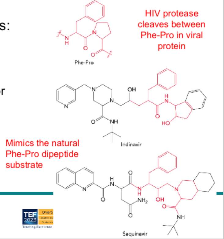 <p>A competitive inhibitor binds to the active site of the enzyme (competes with substrate) and reduces activity. In drugs, structure‑based design can produce inhibitors (e.g. HIV protease inhibitors, sulfanilamide) that mimic substrate or transition state and block the enzyme.</p><p>Sulfanilamide is an ab chemotherapeutic agent used topically for vaginal yeast infections </p>