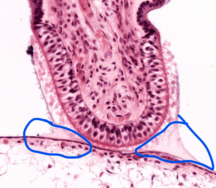 <p>structure</p>