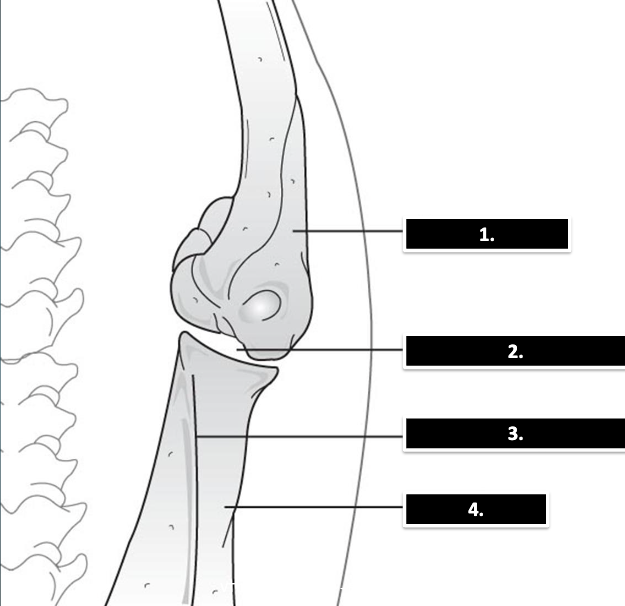 <p>what is 3</p>