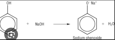 <p>salt and water </p>