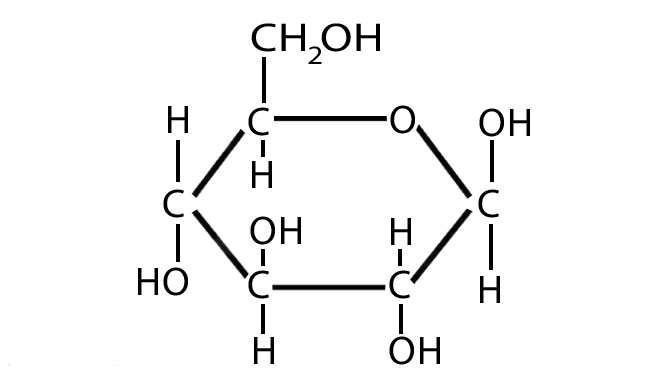 <p>What best describes this organic molecule?</p>