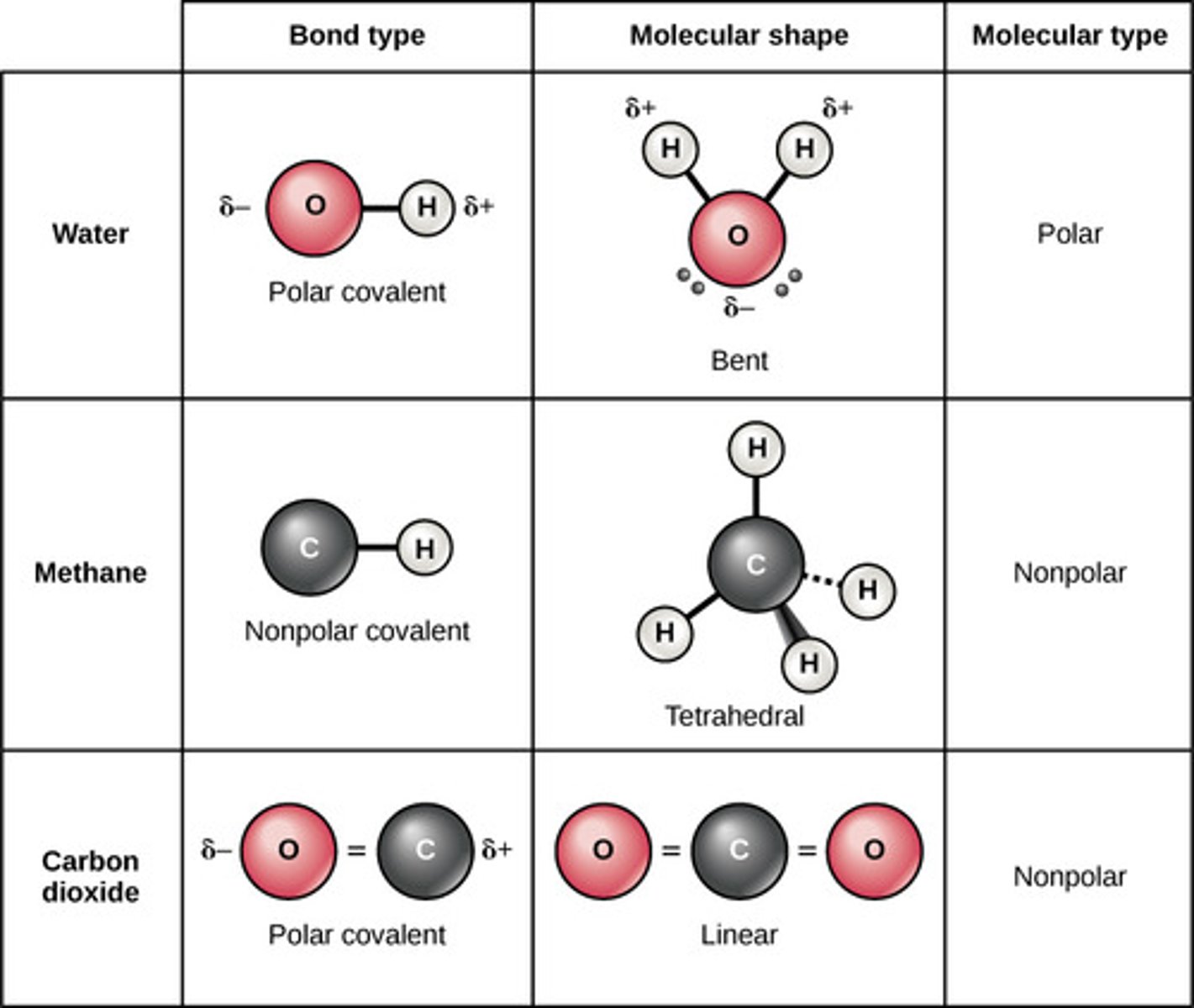 <p>polar</p><p>(Note: leads to the</p><p>formation of a dipole)</p>