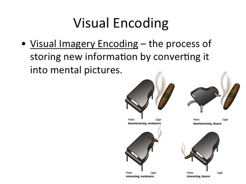 the encoding of picture images