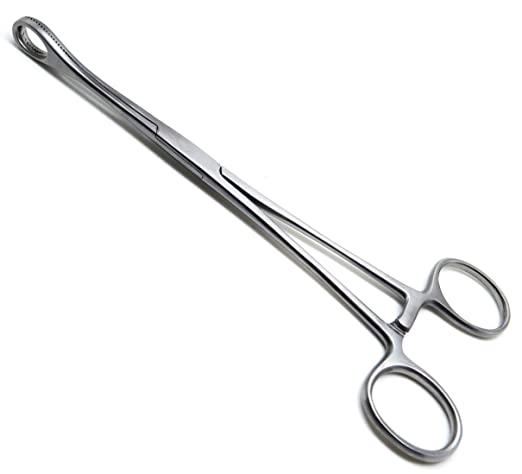 <p>Sponge Forceps</p>